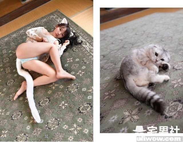 《如果猫咪化身为萌妹子》如此波涛胸涌让人不得不怒买一本!-伊尤台