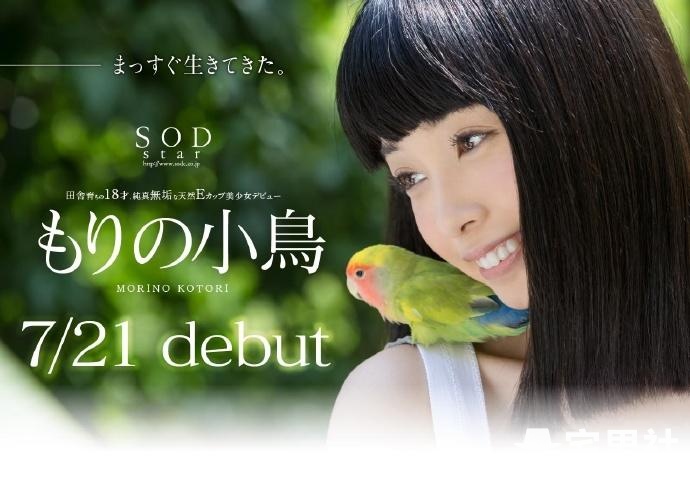 森野小鸟(もりの小鸟)写真照片欣赏及个人资料-伊尤台