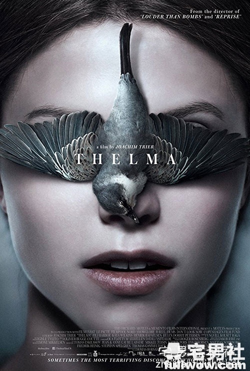 《魔女席玛》:最神圣与最邪恶的组合。-伊尤台