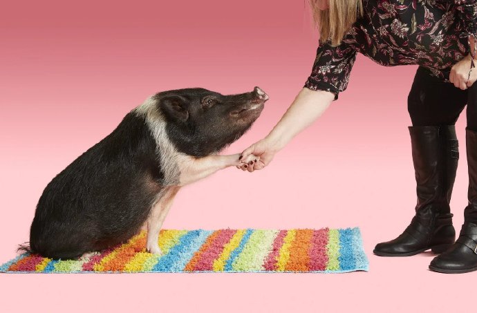 那些不可思议的吉尼斯世界纪录到底有多奇葩?