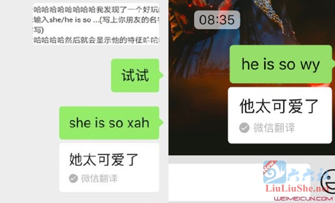 微信新玩法“输入she is so”火了-伊尤台
