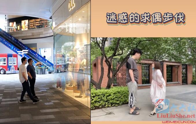 “迷惑的求偶步伐”什么梗?“迷惑的求偶步伐”原视频出处?-伊尤台