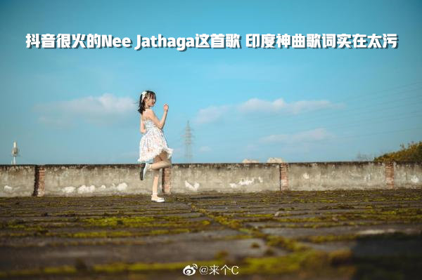 (Nee Jathaga)抖音很火的歌 你知道歌词到底有多污吗?-伊尤台