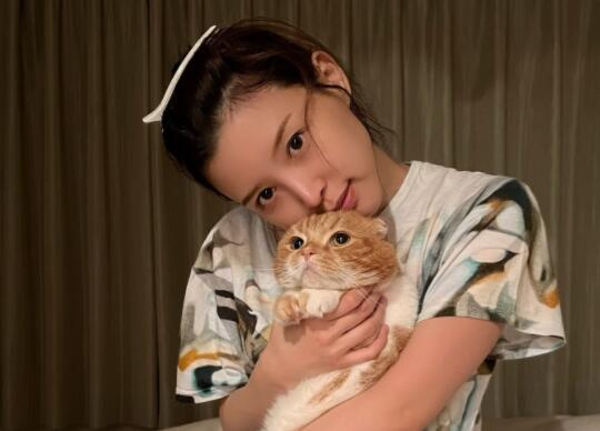 葵司(葵つかさ)的推特twitter账号是多少?-伊尤台