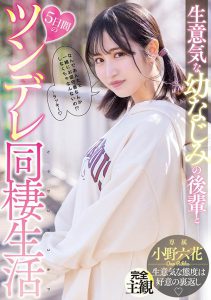 小野六花(Ono-Rikka)作品MIDE-937封面及内容剧情预览-伊尤台
