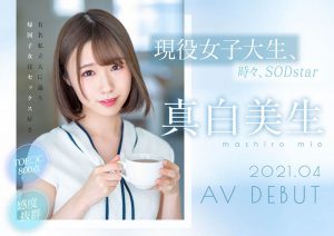 真白美生(Mashiro-Mio)作品STARS-366封面及内容剧情预览-伊尤台