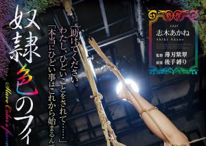 志木あかね(志木茜,Shiki-Akane)作品RBK-035封面及内容剧情预览-伊尤台