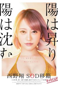 西野翔作品STARS-113封面及内容剧情预览-伊尤台