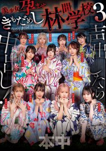 「超级鬼屋惊魂」共演作品HNDS-182封面及内容剧情预览-伊尤台